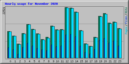 Hourly usage for November 2020